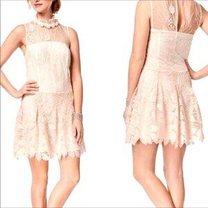 Nanette Lepore Sheer Pink Bella Donna Dress 12 Lace Boho Coquette Embrodery